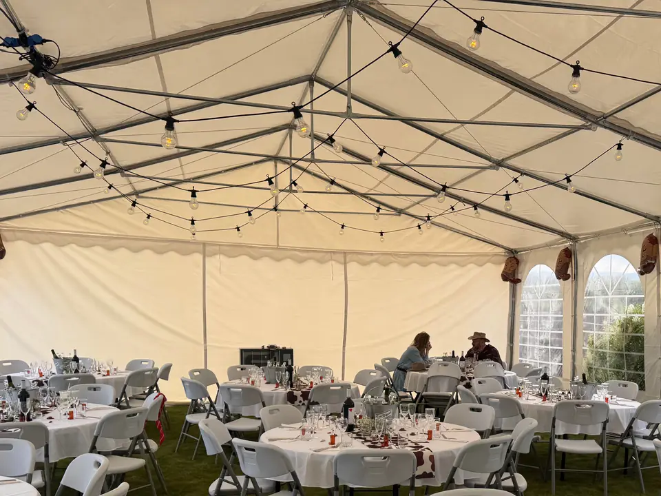 Lysslynger med klare, glødepæreformede lys i kryss under taket på et partytelt, over dekkede runde bord