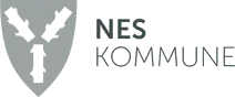 Nes kommune